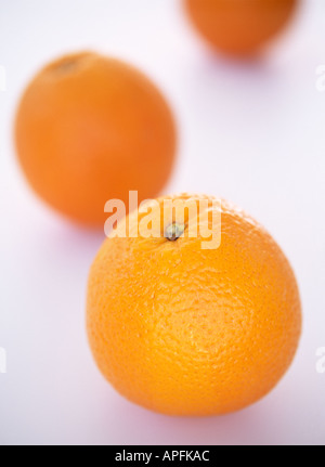Tre arance su sfondo bianco Foto Stock