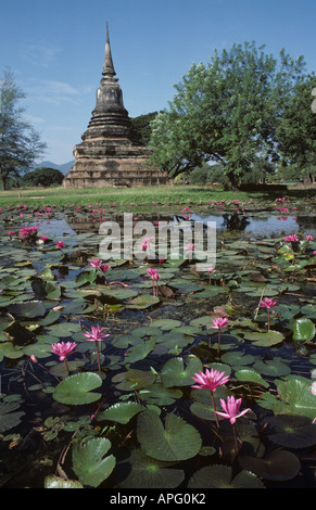 Fiore rosa ninfee Nymphaea sp fioritura in un fossato con antico tempio Tailandia Foto Stock