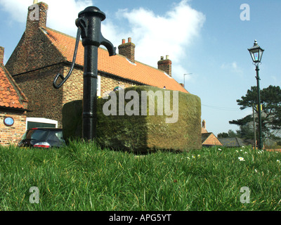 Villaggio a sud Dolton,North Yorkshire giorni in Sun Ray Boswell Foto Stock