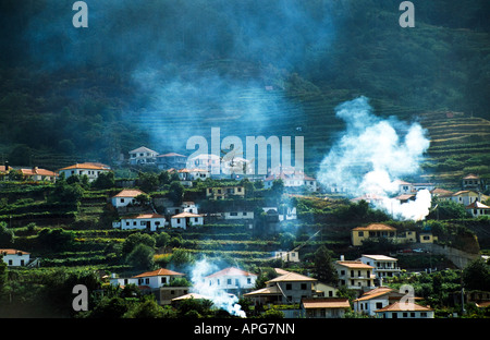 Case nel borgo, Madeira, Portogallo Foto Stock