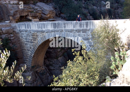 Ponte sul Fiume Koepruelue Foto Stock