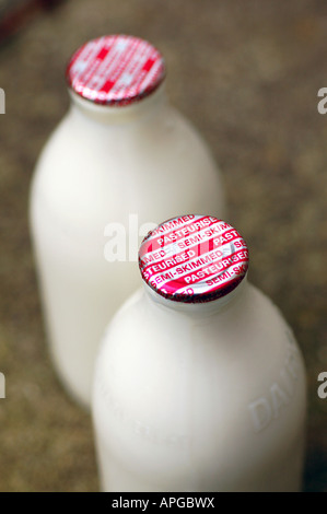 Una pinta di bottiglie di latte consegnato a domicilio, REGNO UNITO Foto Stock