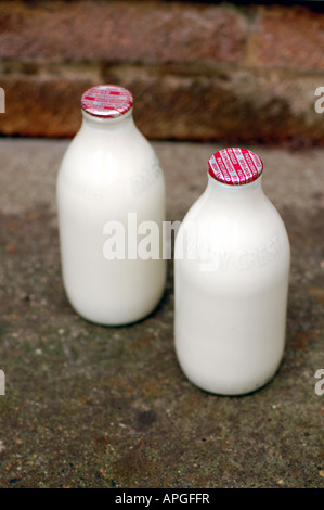 Una pinta di bottiglie di latte consegnato a domicilio, REGNO UNITO Foto Stock