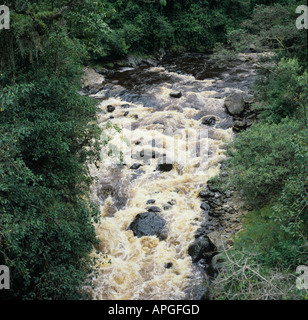 Che scorre veloce Andrean fiume di montagna marrone con tannino di piante di montagna Colombia Foto Stock