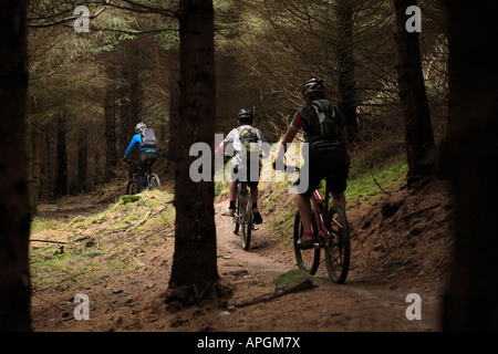 Giovani appassionati di mountain bike GIRO IN Afan Forest Park in Galles del Sud Foto Stock