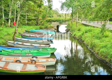 Barche da pesca parcheggiato sul canal bank in Killarney Park Irlanda Foto Stock