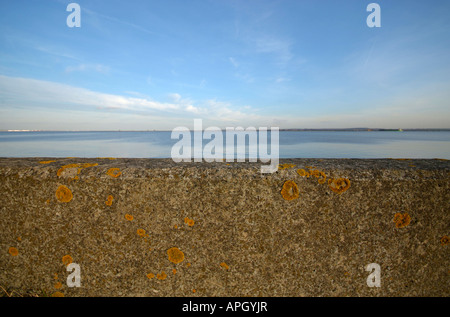 La parete del mare che corre lungo la lunghezza dell'estuario del Tamigi in bocca per il controllo della marea e proteggere Essex da inondazioni. Foto Stock