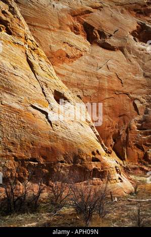 Parco nazionale di Capitol Reef Southern Utah STATI UNITI D'AMERICA Foto Stock