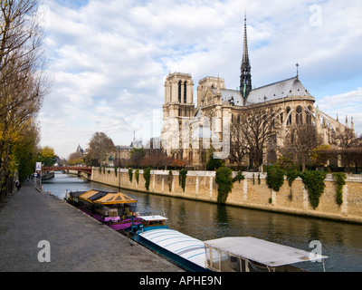 La cattedrale di Notre Dame da Quai de la Tournelle, Ile de la Cite, Parigi, Francia, Europa Foto Stock