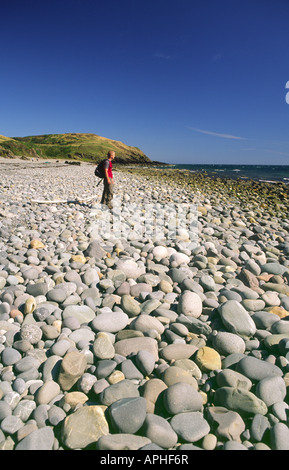 Il camminatore maschio camminando lungo una spiaggia sassosa castello porta Bay beach sul Solway Firth vicino a St Ninians grotta in Scozia Foto Stock