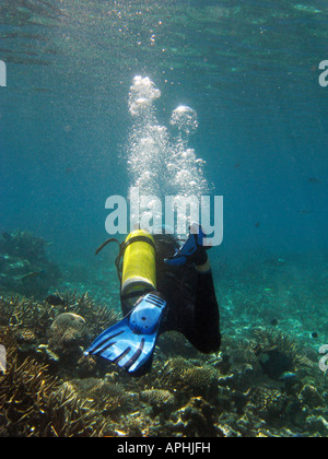 Scuba Diver Agincourt Reef della Grande Barriera Corallina del Queensland del Nord Australia Foto Stock