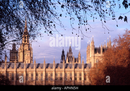 Case del Parlamento visto attraverso filiali di Londra albero piano dalla torre di Victoria Gardens, Westminster, London Foto Stock