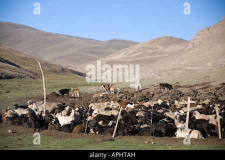 Via della seta del Kirghizistan di Tien Shan Montagne Turugart Pass campo nomadi Foto Stock