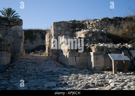 Foto di stock di Tel Meghiddo Armageddon Parco Nazionale Foto Stock