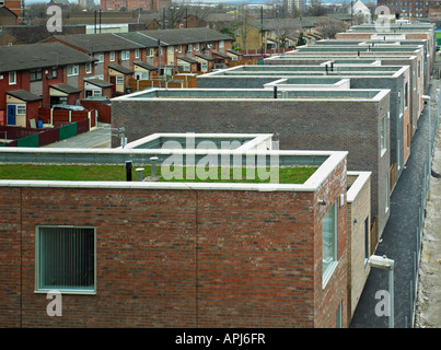 Piercy Street alloggi sociali, Manchester Architetto: Demetz Forbes Knight Foto Stock