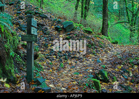 Lungo il sentiero Oneonta Foto Stock