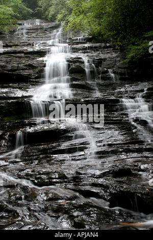 Cascata tumbling giù per la montagna con alberi verdi sulla parte superiore e i lati scuri e primo piano. Foto Stock
