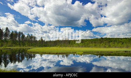 Riflessi nel lago vicino Bredsjon Torsby nella contea di Varmland Svezia Foto Stock