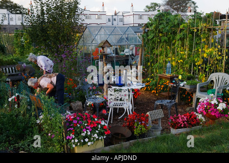 Donne anziane in pensione nel Regno Unito nella loro assegnazione. Panche da tavolo sedie il loro giardino privato di riparto selvatico anni '2000 2006 Inghilterra HOMER SYKES Foto Stock