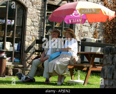 A sud del Galles GB UK 2006 Foto Stock