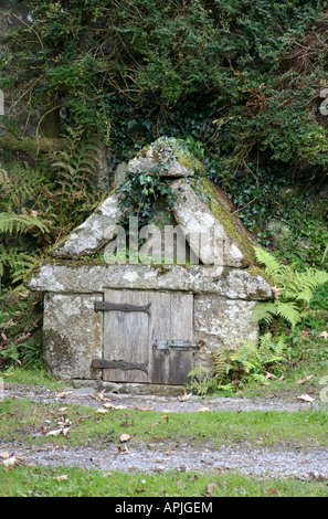 Ben sassone a Widecombe in moro, Dartmoor Devon Foto Stock