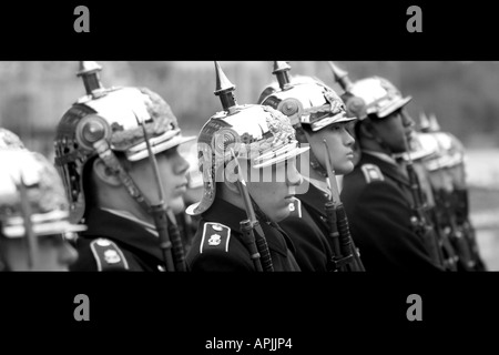 Cambio della guardia al Palazzo Reale a Gamla Stan Stoccolma Svezia Foto Stock