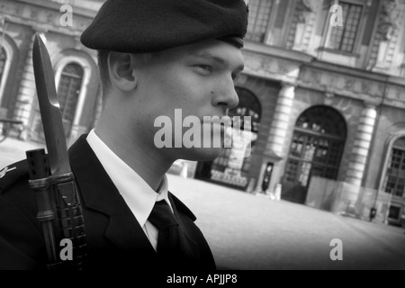 Cambio della guardia al Palazzo Reale a Gamla Stan Stoccolma Svezia Foto Stock