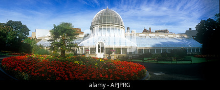 Immagine panoramica dei Giardini Botanici glasshouse Belfast County Antrim Irlanda del Nord Foto Stock