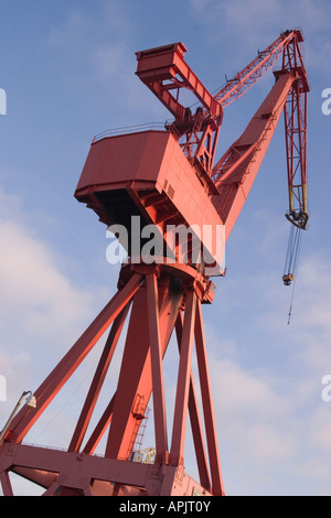 Gru a cigno cantieri cacciatori si riflette nel fiume Tyne a Wallsend Inghilterra Foto Stock