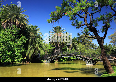 "Rosedal" di Palermo: piante di rose garden: vecchio metallico curvo ponte sopra il lago, con albero in primo piano, Palermo, Buenos Aires Foto Stock