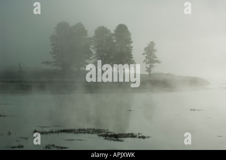 Nebbia di mattina sorge da Yellowstone R nella valle di Hayden il Parco Nazionale di Yellowstone Wyoming Foto Stock