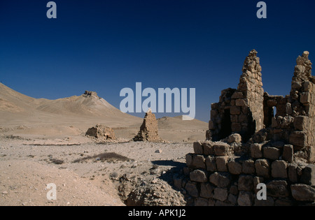 La Valle delle Tombe, Palmyra, Siria. Foto Stock