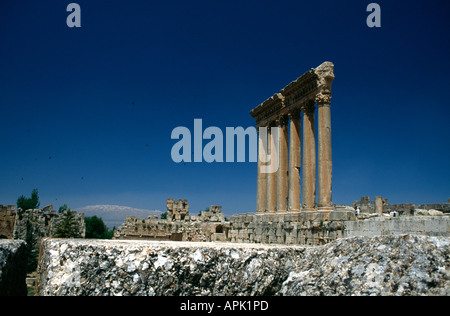 Il Tempio di Giove, Baalbek, Libano. Il tempio è la più grande delle colonne romane nel mondo. Foto Stock