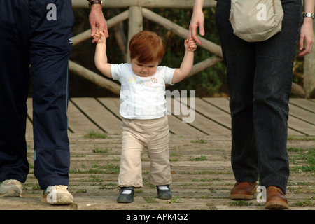 Baby girl ad imparare a camminare aiutato dai suoi genitori Foto Stock