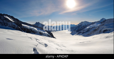 Vista panoramica del ghiacciaio Jungrfrau Jungfrau plateau Alpi Svizzere Foto Stock