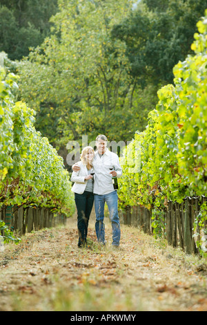 Matura in piedi in vigna (verticale), Napa Valley, California, Stati Uniti d'America Foto Stock