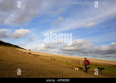 L'uomo con i suoi cani in corrispondenza del fondo di un sentiero in salita a Kingley vale la Riserva Naturale, West Sussex, in Inghilterra, Regno Unito Foto Stock