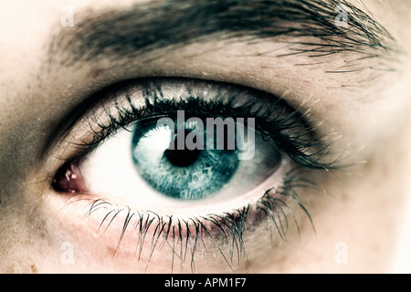 Close up di un occhio umano Foto Stock