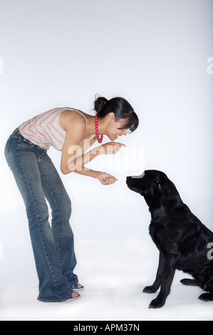 Donna insegnamento Labrador cane Foto Stock