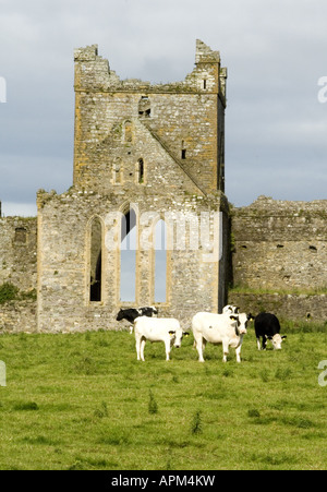 Dunbrody Abbey al di fuori di New Ross Co Wexford in Irlanda www osheaphotography comm Foto Stock