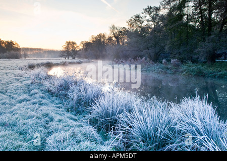 Alba sul fiume Wey nel prato vicino a Newark Priory Pyrford Surrey in Inghilterra REGNO UNITO Foto Stock