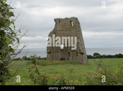 La rovina di torre costiera Co Wexford in Irlanda www osheaphotography com Foto Stock