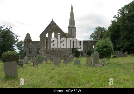 Saint Marie Chiesa New Ross Co Wexford in Irlanda www osheaphotography com Foto Stock