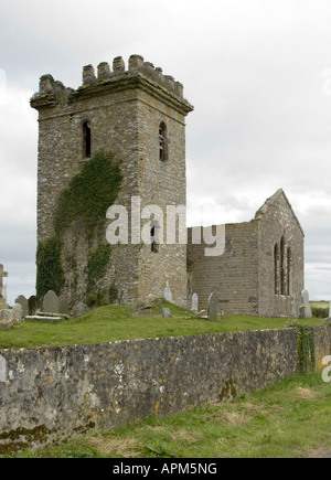 Templetown testa a gancio Co Wexford in Irlanda www osheaphotography com Foto Stock