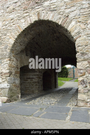 Selskar Torre di Porta cittadina di Wexford Co Wexford in Irlanda www osheaphotography com Foto Stock