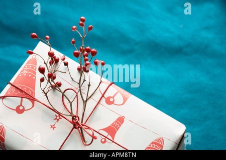 Ramo decorativo con bacche sul regalo di Natale (close-up) Foto Stock