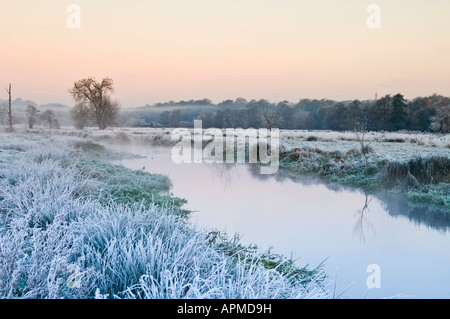 Alba sul fiume Wey nel prato vicino a Newark Priory Pyrford Surrey in Inghilterra REGNO UNITO Foto Stock