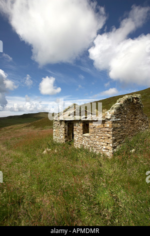 Cottage deserta Rousay Isole Orcadi Scozia UK Foto Stock