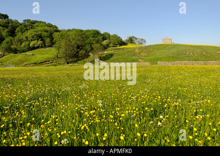 Fieno tradizionale prato e campo Hilltop barn Foto Stock