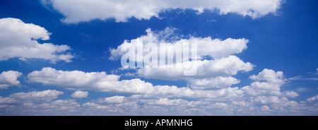 Cumulus nuvole galleggiante nel profondo blu del cielo Miami Florida Foto Stock